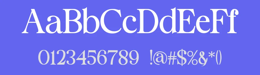 Staller Font by Marvadesign — Serif Font — thumbnail 3