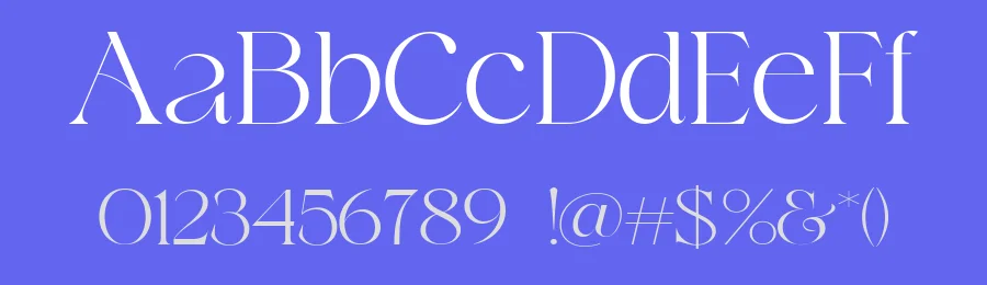 Stalysta Font by Lettersiro — Serif Font — thumbnail 3