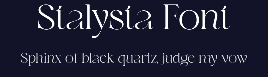 Stalysta Font by Lettersiro — Serif Font — thumbnail 2