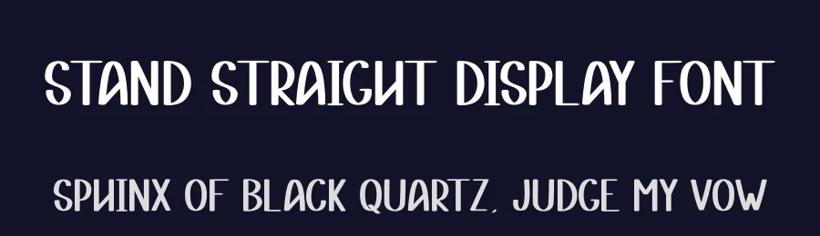 Stand Straight Display Font by andikastudio — Script Handwritten Font — thumbnail 2