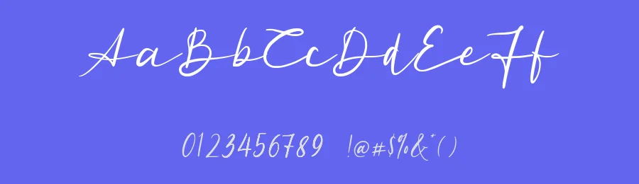 Standard Jeglek Script Font by Allouse.Studio — Script Handwritten Font — thumbnail 3