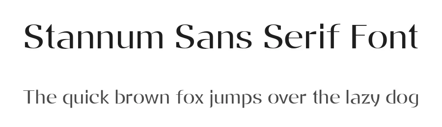 Stannum Sans Serif Font by Eko Bimantara — Sans Serif Font
