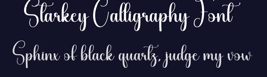 Starkey Calligraphy Font by creativeletter — Script Handwritten Font — thumbnail 2