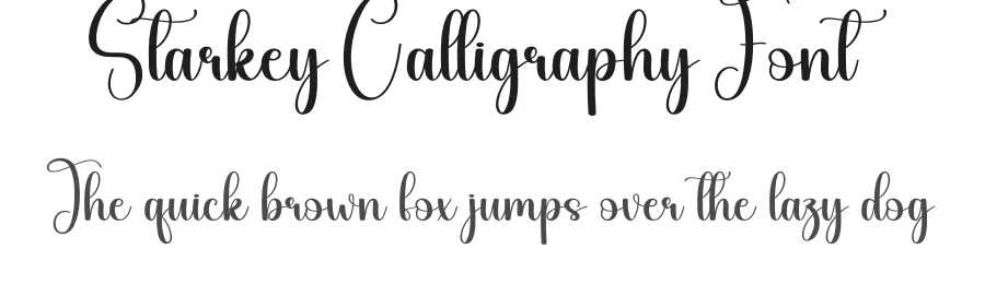 Starkey Calligraphy Font by creativeletter — Script Handwritten Font