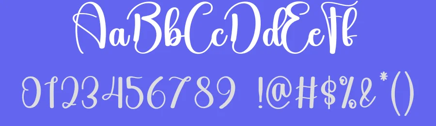 Starkey Calligraphy Font by creativeletter — Script Handwritten Font — thumbnail 3