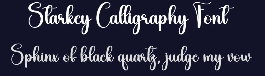 Starkey Calligraphy Font by creativeletter — Script Handwritten Font — thumbnail 2