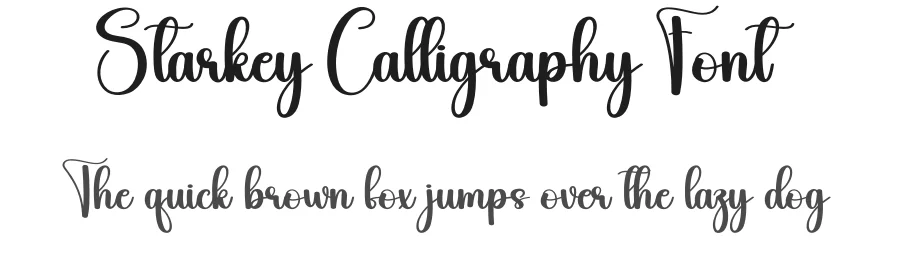 Starkey Calligraphy Font by creativeletter — Script Handwritten Font
