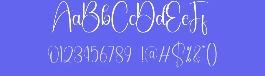 Starkey Calligraphy Font by creativeletter — Script Handwritten Font — thumbnail 3