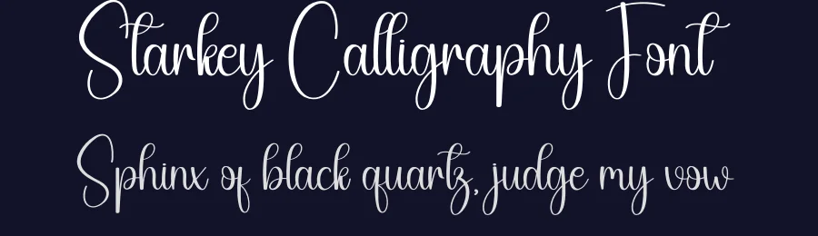 Starkey Calligraphy Font by creativeletter — Script Handwritten Font — thumbnail 2