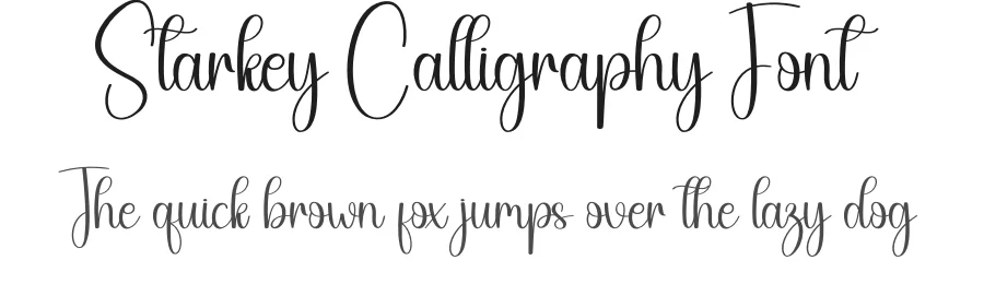 Starkey Calligraphy Font by creativeletter — Script Handwritten Font