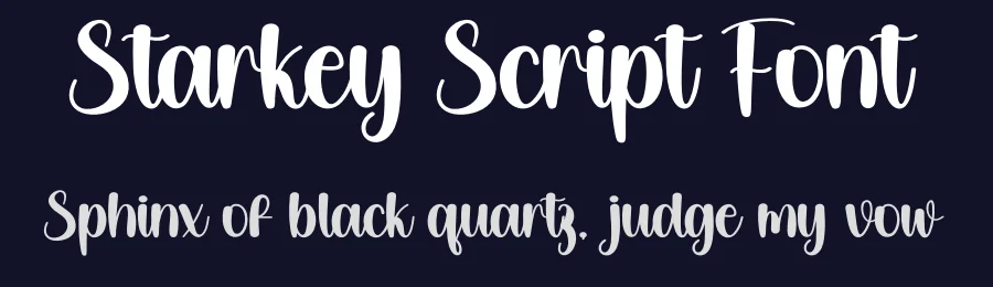 Starkey Script Font by creativeletter — Script Handwritten Font — thumbnail 2