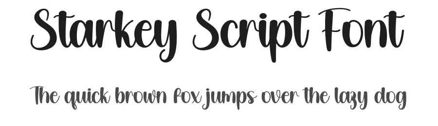 Starkey Script Font by creativeletter — Script Handwritten Font