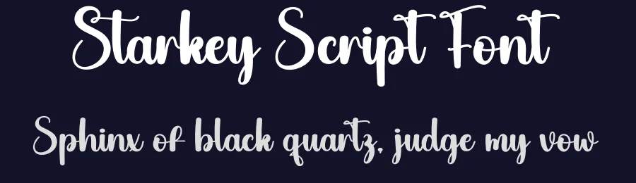 Starkey Script Font by andikastudio — Script Handwritten Font — thumbnail 2