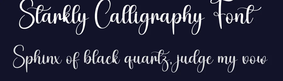 Starkly Calligraphy Font by creativeletter — Script Handwritten Font — thumbnail 2