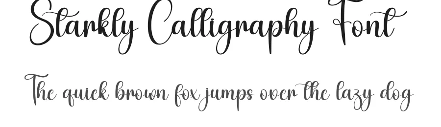 Starkly Calligraphy Font by creativeletter — Script Handwritten Font