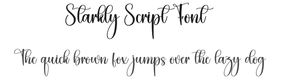 Starkly Script Font by creativeletter — Script Handwritten Font