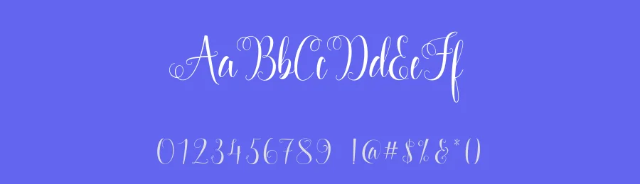 Starlight Calligraphy Typeface by stripesstudio — Script Handwritten Font — thumbnail 3