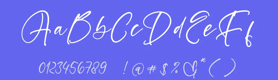 Starlight Tonight Font by stylishtype.co — Script Handwritten Font — thumbnail 3
