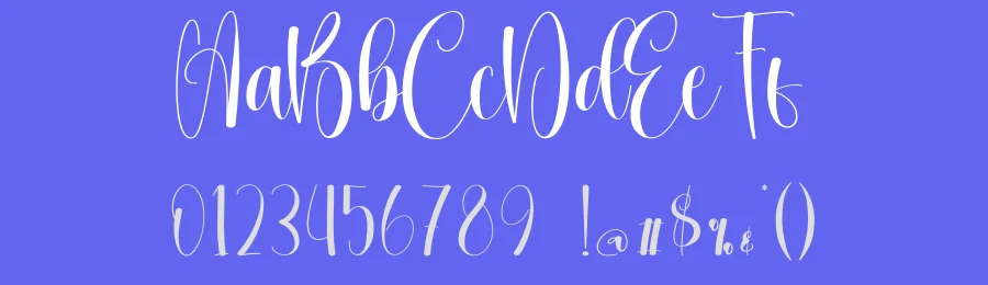 Starlink Calligraphy Font by creativeletter — Script Handwritten Font — thumbnail 3