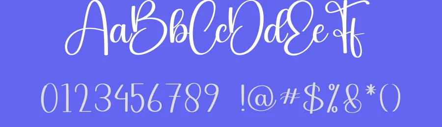 Starnight Calligraphy Font by creativeletter — Script Handwritten Font — thumbnail 3