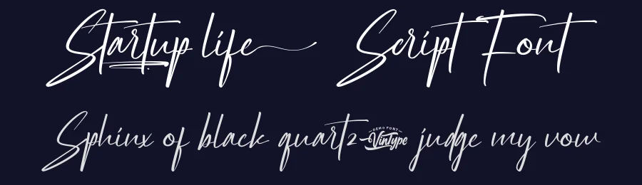 Startup Life Script Font by VinType — Script Handwritten Font — thumbnail 2