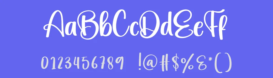 Staunch Display Font by creativeletter — Script Handwritten Font — thumbnail 3