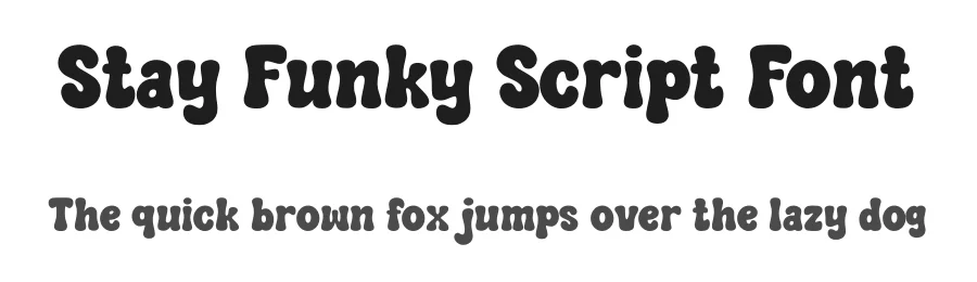 Stay Funky Script Font by Siapgraph — Display Font