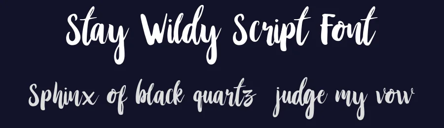 Stay Wildy Script Font by DikasStudio — Script Handwritten Font — thumbnail 2