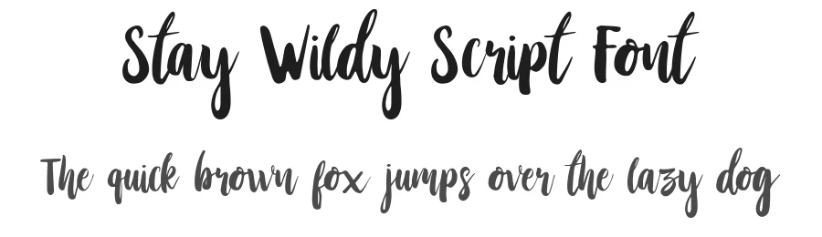 Stay Wildy Script Font by DikasStudio — Script Handwritten Font