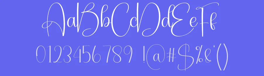 Stayhome Calligraphy Font by creativeletter — Script Handwritten Font — thumbnail 3