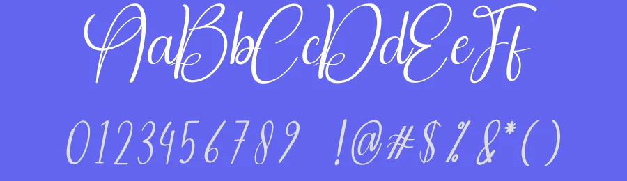Stayland Calligraphy Font by creativeletter — Script Handwritten Font — thumbnail 3