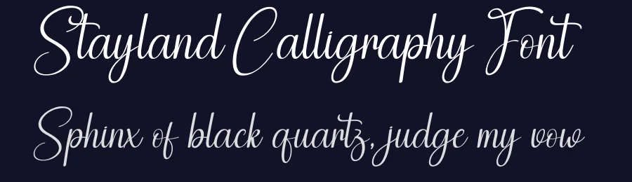 Stayland Calligraphy Font by creativeletter — Script Handwritten Font — thumbnail 2
