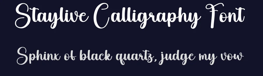 Staylive Calligraphy Font by creativeletter — Script Handwritten Font — thumbnail 2