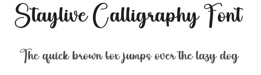 Staylive Calligraphy Font by creativeletter — Script Handwritten Font