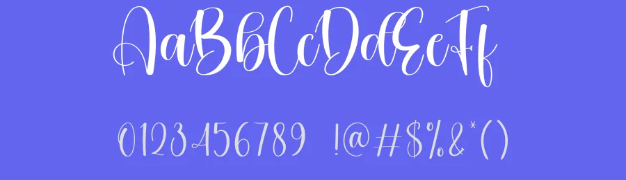 Steady Script Font by creativeletter — Script Handwritten Font — thumbnail 3