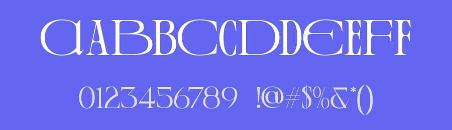 Steala Font by roomspace.cl — Serif Font — thumbnail 3