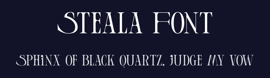 Steala Font by roomspace.cl — Serif Font — thumbnail 2