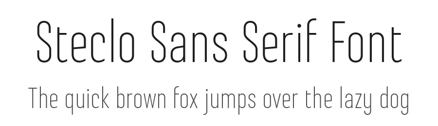 Steclo Sans Serif Font by Pepper Type — Sans Serif Font