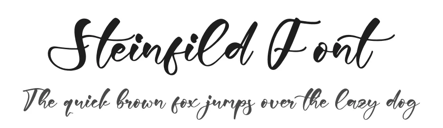 Steinfild Font by glorytype — Script Handwritten Font