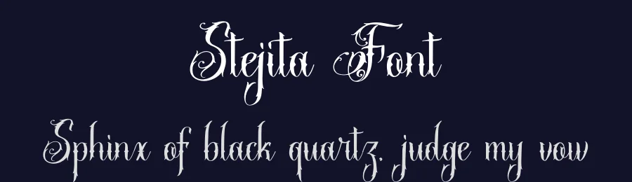 Stejita Font by Denustudios — Script Handwritten Font — thumbnail 2