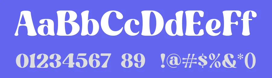StereoClub Font by ClevUs — Serif Font — thumbnail 3