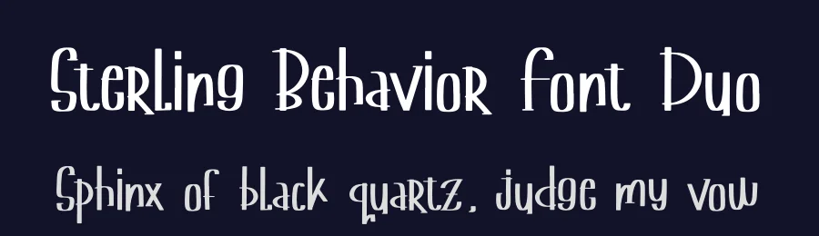 Sterling Behavior Font Duo by Denustudios — Script Handwritten Font — thumbnail 2