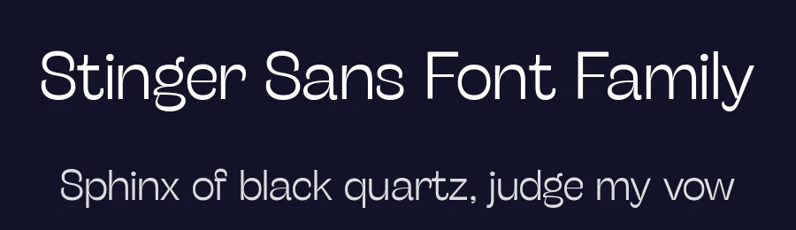 Stinger Sans Font Family by Zetafonts — Sans Serif Font — thumbnail 2