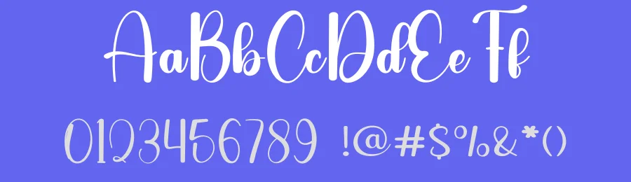 Stocking Charming – Elegant Handwritten Font by freshtypeink — Script Handwritten Font — thumbnail 3