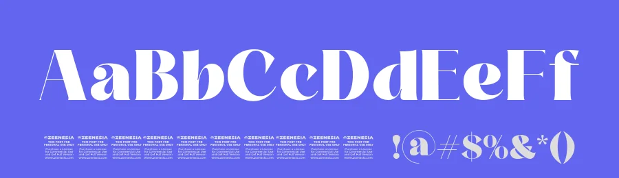 Storila — Stylish Serif Font by zeenesia studio — Decorative Font — thumbnail 3