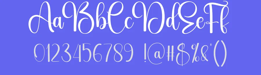 Story Calligraphy Font by creativeletter — Script Handwritten Font — thumbnail 3