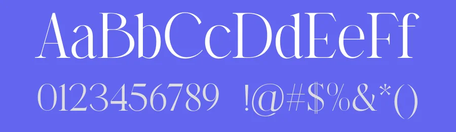 Storyline Regario Font Duo by Storytype — Serif Font — thumbnail 3