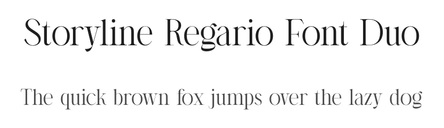 Storyline Regario Font Duo by Storytype — Serif Font