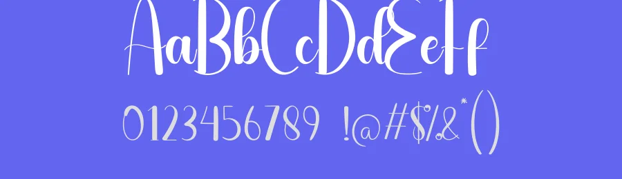 Streamline Script Font by andikastudio — Script Handwritten Font — thumbnail 3