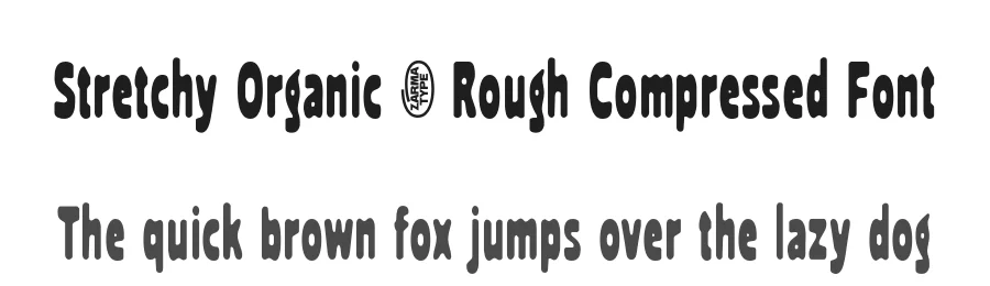 Stretchy Organic – Rough Compressed Font by zarmatype — Decorative Font